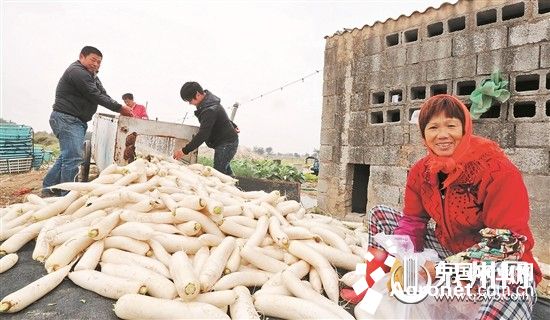 ����Ȫ�ݣ������ܲ���������