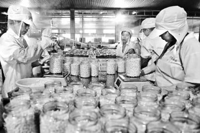 ������Ϫ�ӿ������ִ�ũҵ��ҵ��