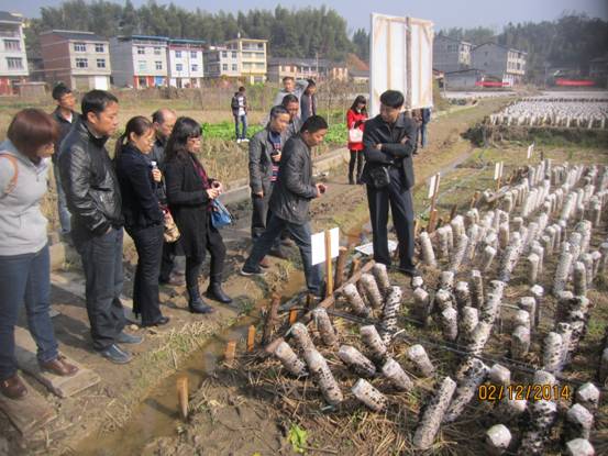 �������֣���չ��ľ�����༼����ѵ