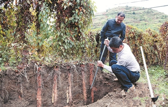 ����Ȫ�ݣ���Ϫ��Ķ��ɽӭ�����ռ�