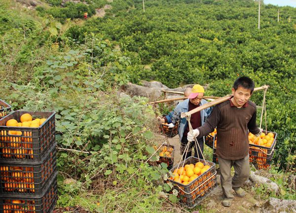 ������ɽ�أ����ٷ���