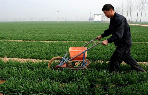 �½�����臨�����������