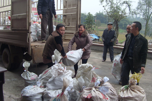 �Ĵ�������̲��С�������ɴ��ҵ ����ũ���¸�����