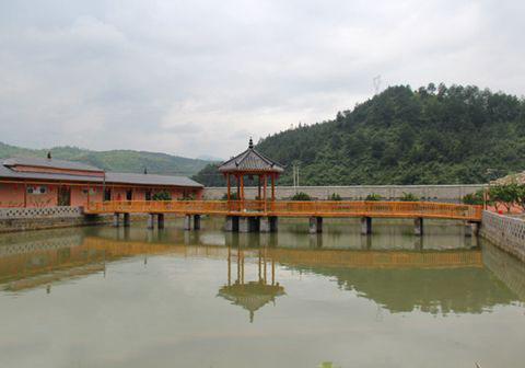 �㽭��Ԫ���׸�������ҵ��Ʒ���ش����ɹ�