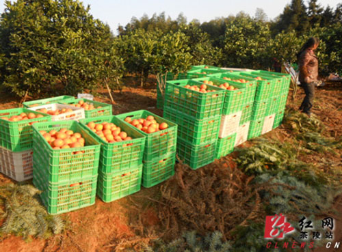 װ�������˵ġ�ʯ����ȡ�