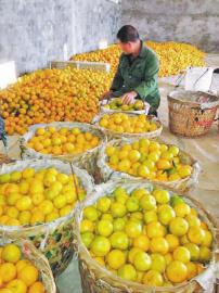 ����������������Խ�ˮ�������г�