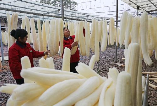 ���������У���˿���硱���κ����г�