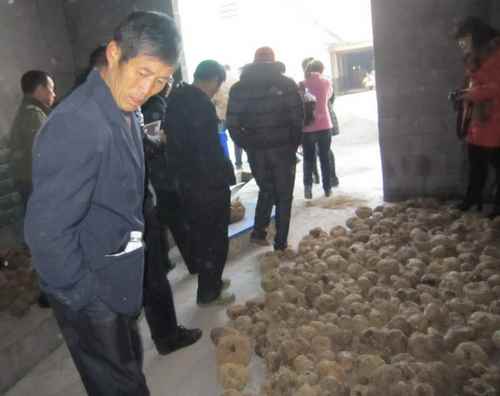 �����з�����֯����ְҵũ��ɣֲ��ħ����زιۿ���