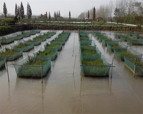 ���ϴ�ͨ��������������ɫũҵ����������