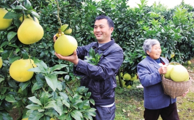 �Ĵ������أ�����ר�ҡ���ͷ�¸�