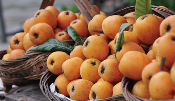 ���ݡ������������ˡ���Χ2014�ꡰ����֮�⡱��ѡ