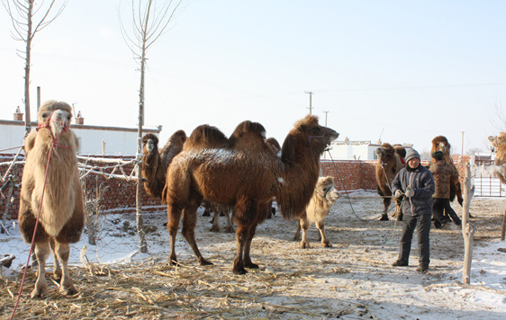 �½������أ����Ҳ���������ؼ� ���������ֿ���