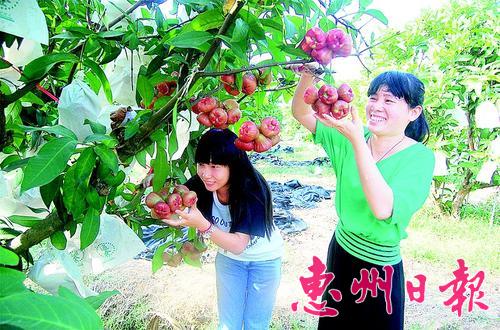 �㶫���ݻݶ������ˮ��12���