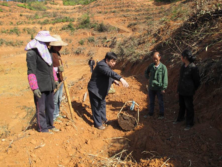 ������Ϫ��ר���ֳ�������ͥũ��