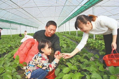 �����������ֵ�ݮ��ʱ