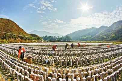 �����������������ֺ�ľ��ʵ�ֶ�Ӯ