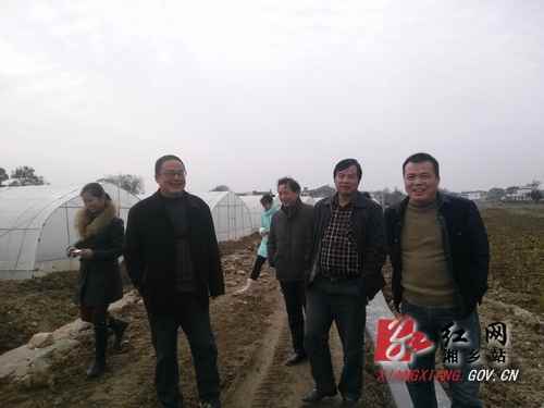 ����ʡũҵί�߲˴�����÷�߲˻����Ӳ�ָ������