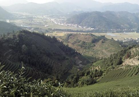 ������Ϫ̨Ϫ����̬��԰�������Ч