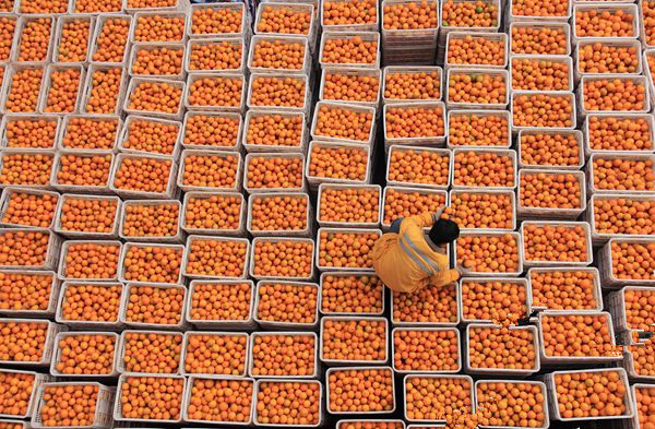 ���������أ��������