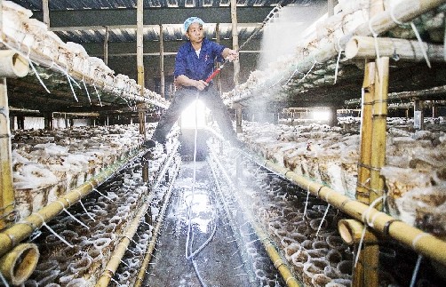 �㽭�𰲣���������������