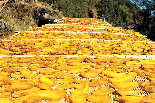 �㽭�����أ��عϸɳɡ����ƽ�