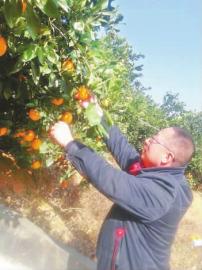 �������֣��Ͽ���ȷ���