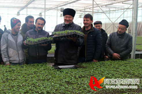 �½��⳵�ش���æ����