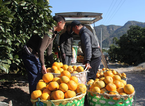 �㽭������۹��ϲ����