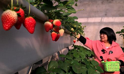 ������������������Ʈ��