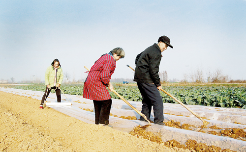 ����Т�У�Ϊ�����ǡ�����������