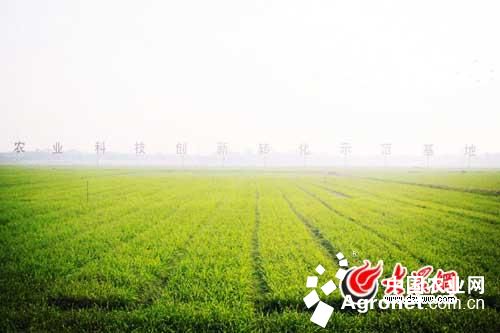 �Ĵ��ӿ��ƽ��ִ���ʳ��ҵ ����㺺��ʳʾ����������