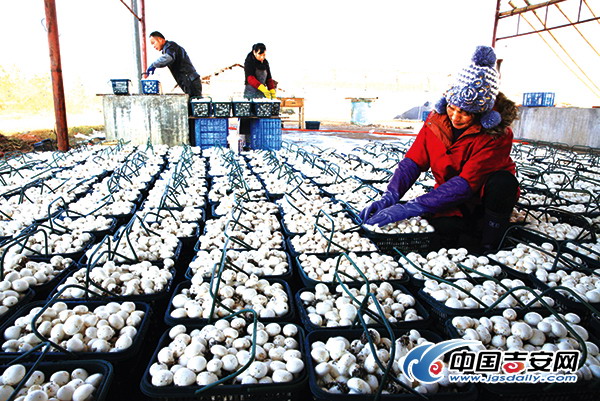 ���������أ����߷��� �����ķ�