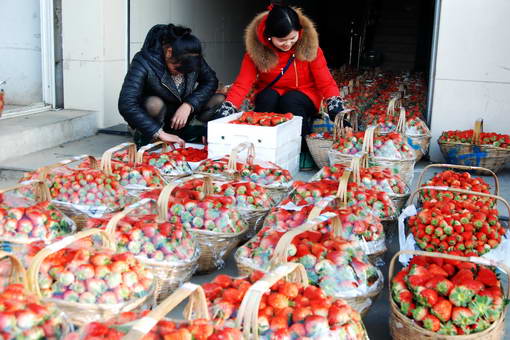 �㽭�����У���ڵ� ��ݮ��2