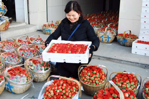 �㽭�����У���ڵ� ��ݮ��3