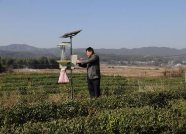 ��԰������̬���ࡢ��Ұ����ֲ��