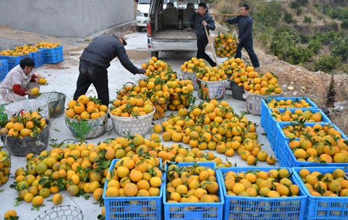 �㽭�񻷹������������