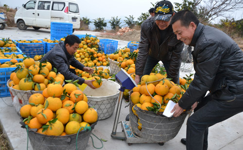 �㽭�񻷹������������2