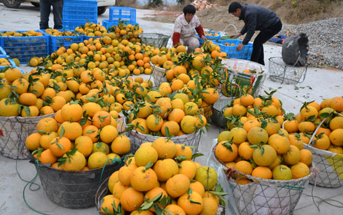 �㽭�񻷹������������3