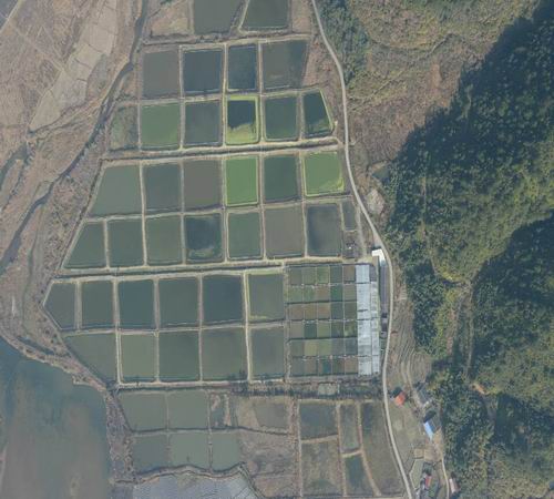 ����ɳ�أ������а�����ȷȨ�Ե㺽��2