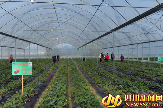 �Ĵ������㽭����ǧ���ټ���ũ�����¸�