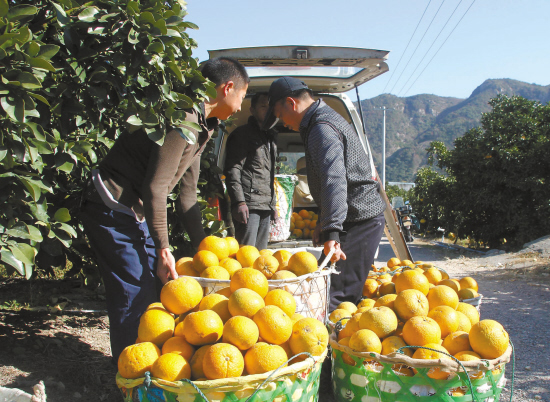 �㽭̨����۹�̻����