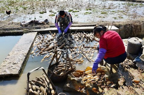 ������������ź�ֵ�����ʱ ��ũ����