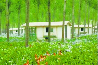 �������ֵؽ��������� ������̬��