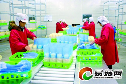 ���������ִ�ũҵ�����Ŀ���빽Ԥ�����ֵ��5��Ԫ