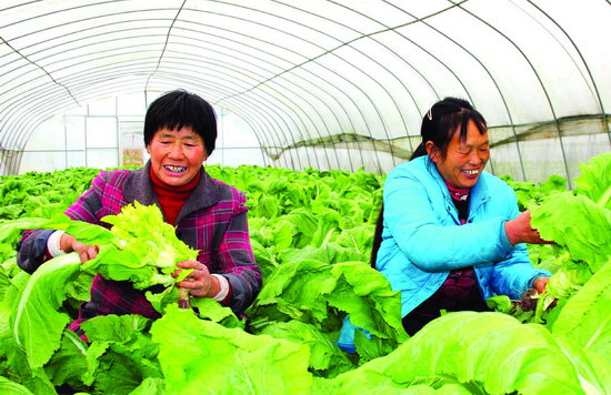 �Ĵ���Ϫ�أ�����ϲ����