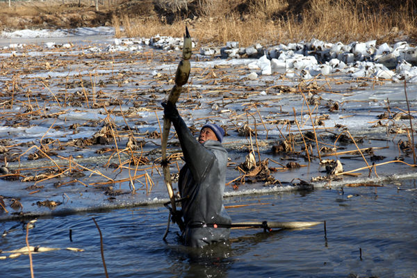 �����źũϲ�����