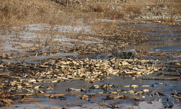 1��6�գ�źũ������������ź��