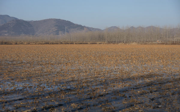 1��6�գ����յ�������������ڵ�ź����