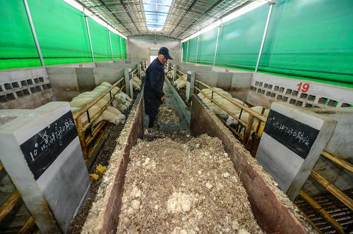 �㽭ʡȫ���ƶ��ִ���̬ѭ��ũҵ��չ