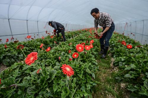 1��14�գ��������ֳ���һ�ҷ��޾���ֲ���صĹ�����Ա���ո��ʻ����û���ȫ�����ö�������Ϊ���ϣ������������صķ�����Ҳ��Ч��ֹ�����ذ�ᡣ